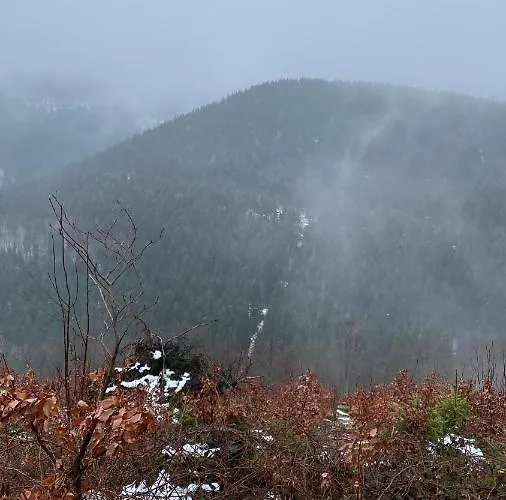 Komfort Wunder * Goslar